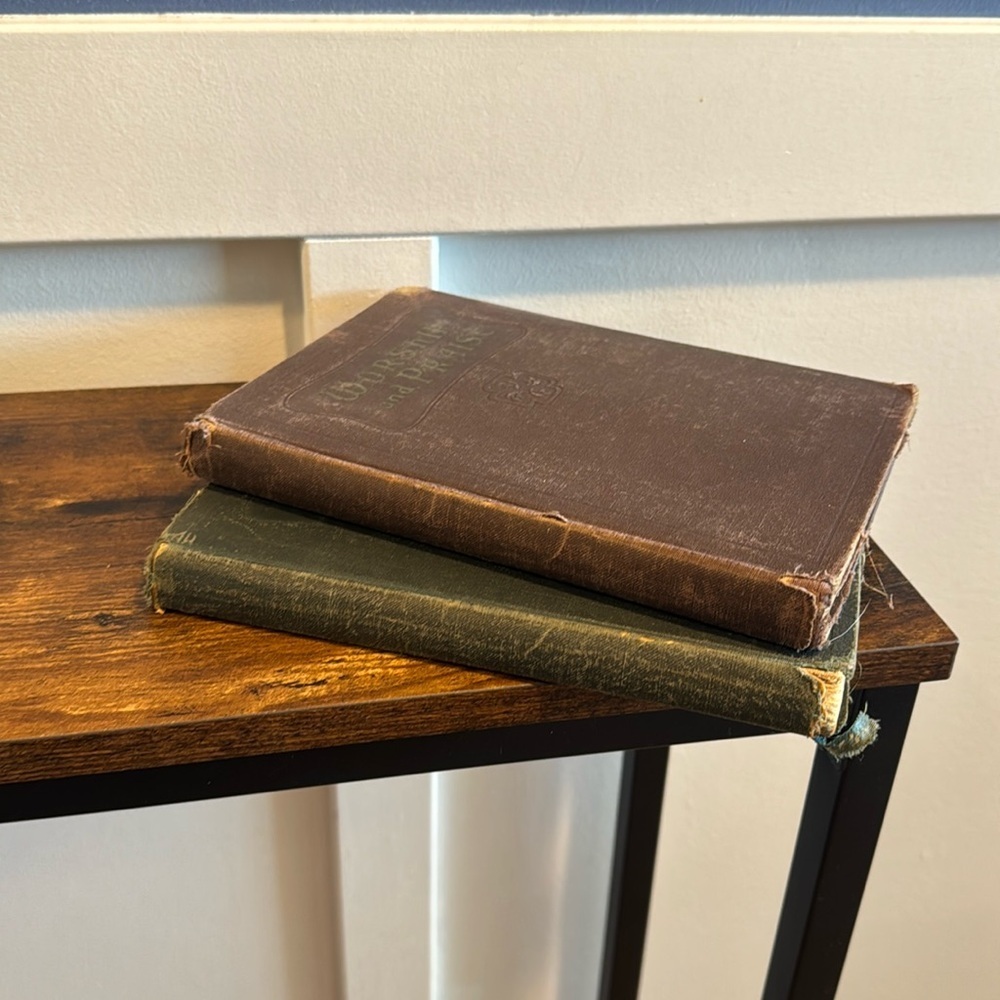 Book Stack Set of 2 Shades hunter green and Brown Book Decor